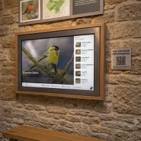 A real-time species display showing a detected bird