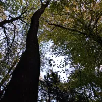An acoustic monitor installed at a quiet site
